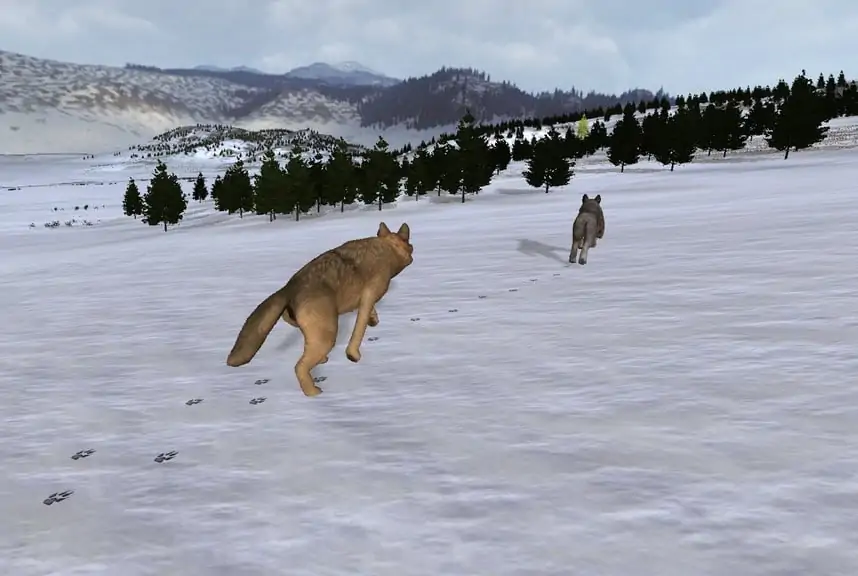 Скриншот WolfQuest: Classic