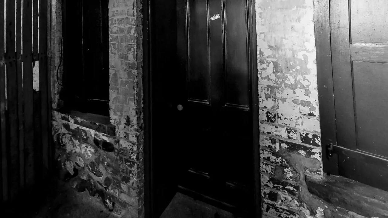 Скриншот Wardwell House