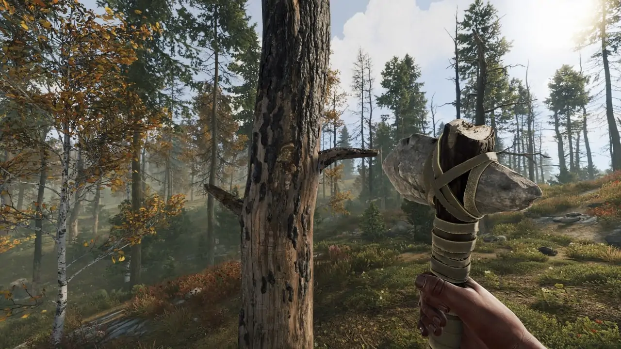 Скриншот Rust