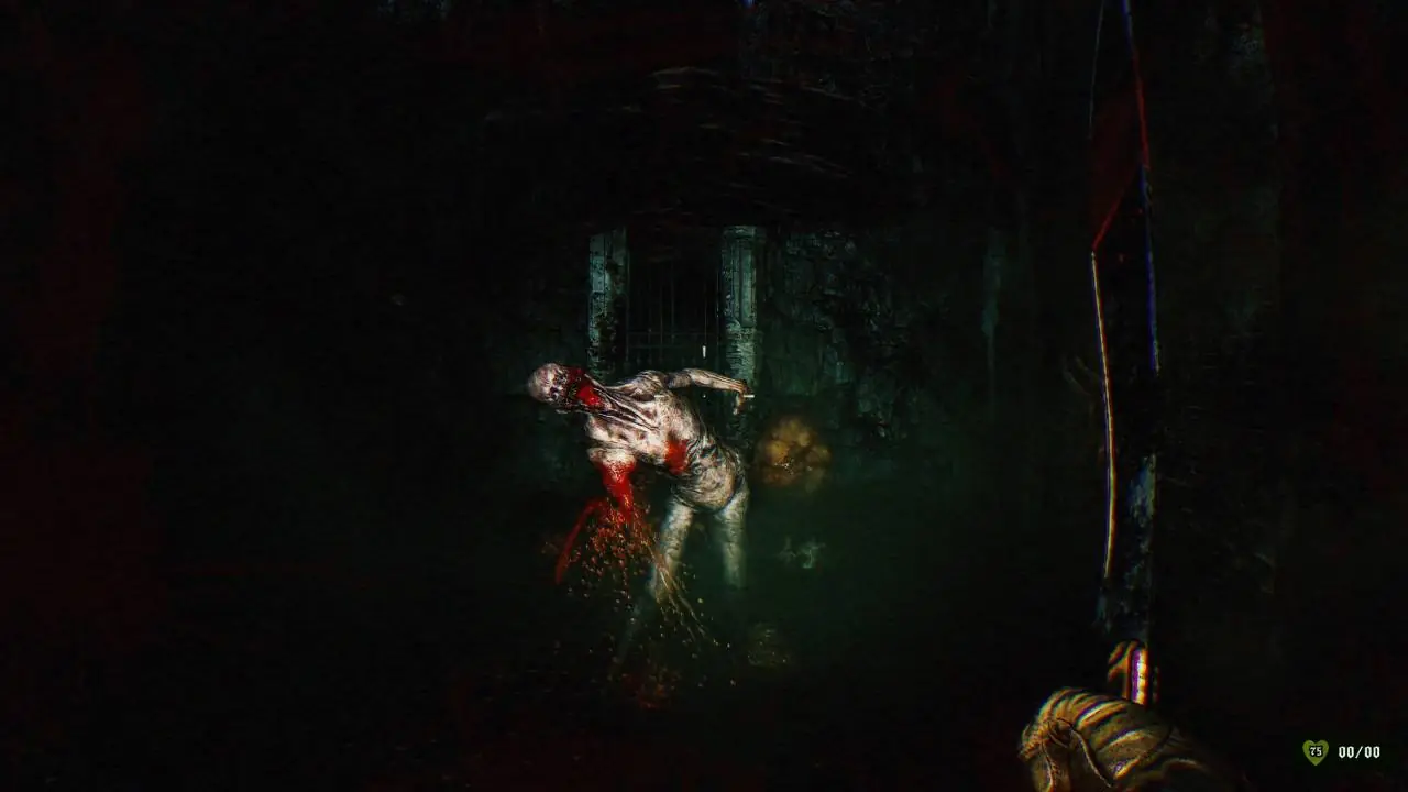Скриншот GUTTED: Infested Crypts