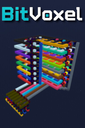 BitVoxel
