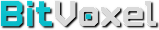 BitVoxel