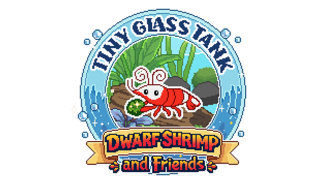 Tiny Glass Tank: Dwarf Shrimp and Friends