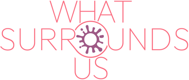 What Surrounds Us