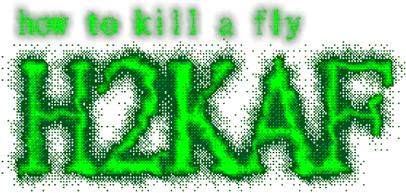 how to kill a fly H2KAF