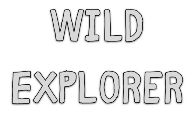 Wild Explorer