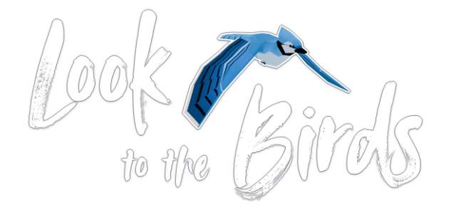 Look to the Birds