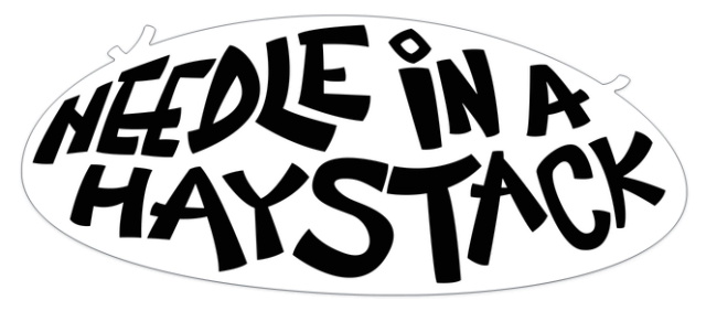 Needle In A Haystack